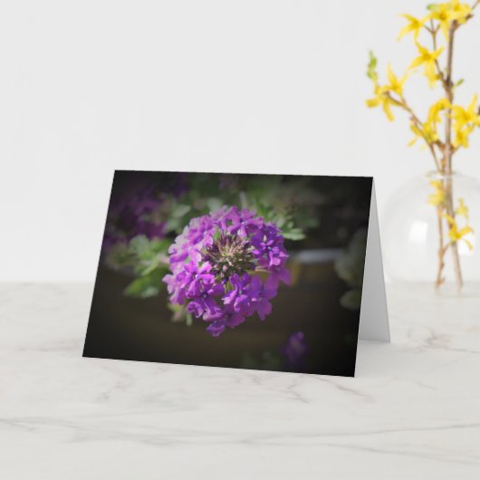 Verbena, kaart (Gele Bloem)