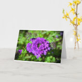 Verbena, Kaart (Gele Bloem)