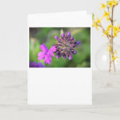 Verbena, kaart (Gele Bloem)