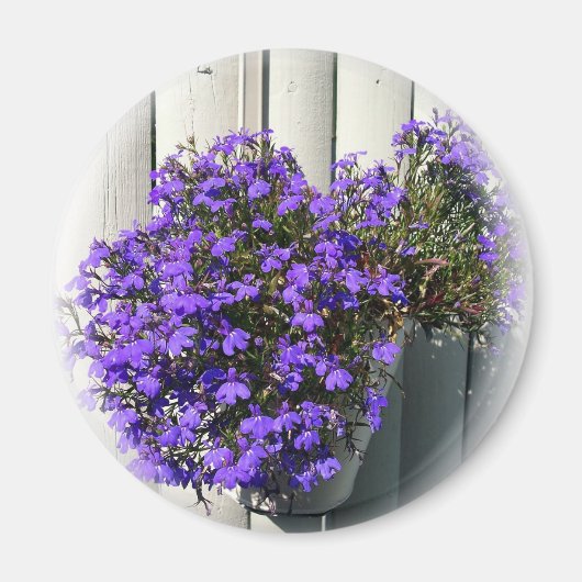 Verbena Magnet (Voorkant)