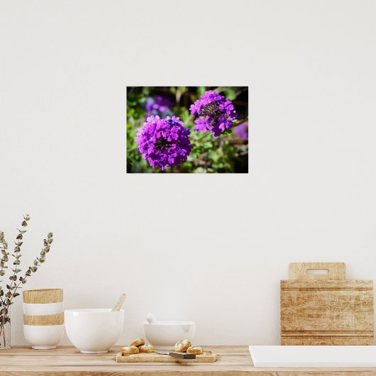 Verbena Poster (Keuken)
