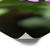 Verbena Poster (Hoek)