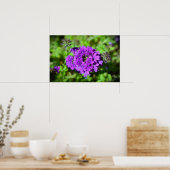 Verbena Poster (Keuken)
