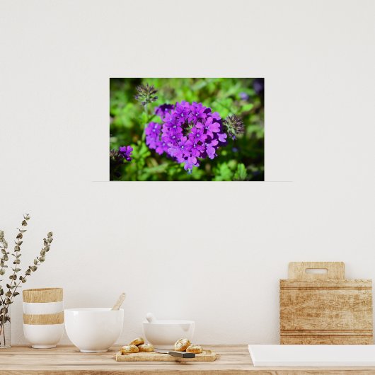Verbena Poster (Keuken)