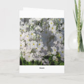 Verbena - witte lentesbloemen kaart (Achterkant)