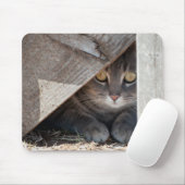 verbergen-a-kat muismat (Met muis)