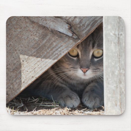 verbergen-a-kat muismat (Voorkant)