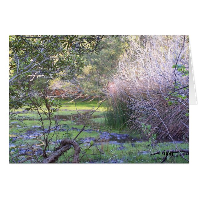 Verbergen en zoeken (Voorkant Horizontaal)