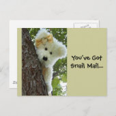 Verbergen en zoeken briefkaart (Voorkant / Achterkant)