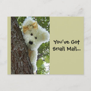 Verbergen en zoeken briefkaart