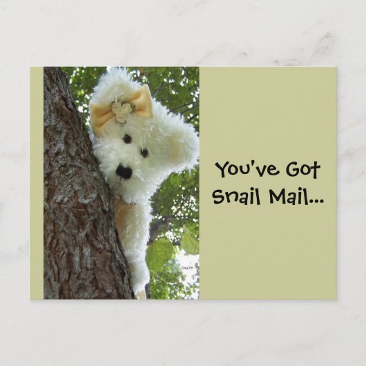 Verbergen en zoeken briefkaart (Voorkant)