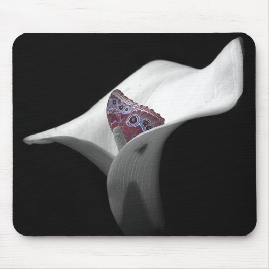 Verbergen en zoeken muismat (Voorkant)