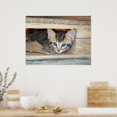 Verbergen en zoeken poster (Keuken)