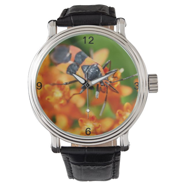 Verbergen in het zicht horloge (Voorkant)