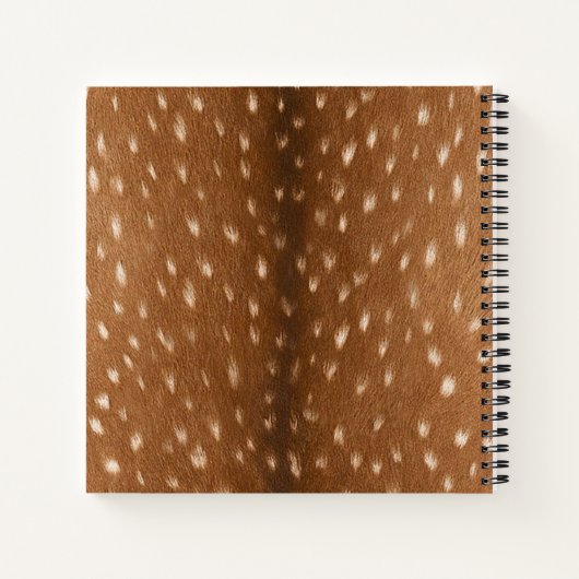 Verbergen // notitieboek (Achterkant)