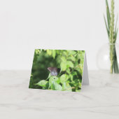 Verbergen Swallowtail Note Kaart (Voorkant)