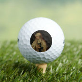 Verbesmeerde Mary (door Lucas van Leyden) Golfballen (Insitu Shirt)