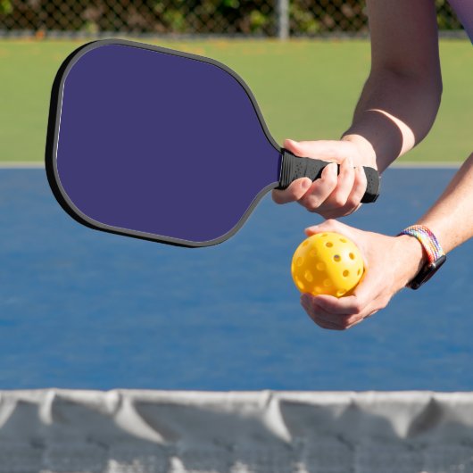 Verbeter uw interieur met een stijlvol blauw pickleball paddle (Insitu)