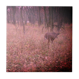 Verbeterde, mooie buck tegeltje