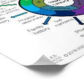 Verbetering van de analfabetisme poster (Hoek)