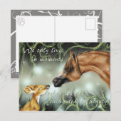 Verbijsterd door schoonheid briefkaart (Voorkant / Achterkant)