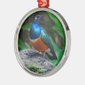 Verbijsterend Afrikaans superbot Metalen Ornament (Links)