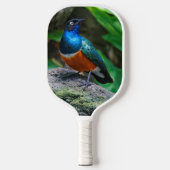 Verbijsterend Afrikaans superbot Pickleball Paddle (Voorkant)