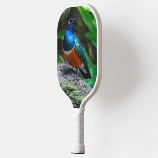 Verbijsterend Afrikaans superbot Pickleball Paddle (Links)