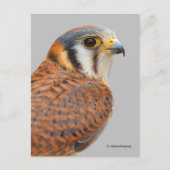 Verbijsterend Amerikaans rugzak Briefkaart (Voorkant)