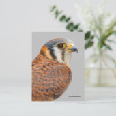 Verbijsterend Amerikaans rugzak Briefkaart (Staand voorkant)