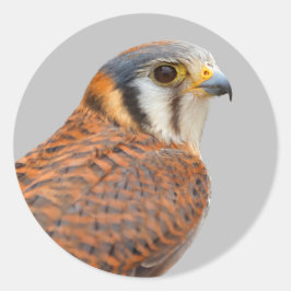 Verbijsterend Amerikaans rugzak Ronde Sticker