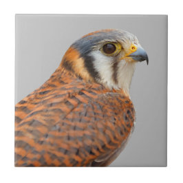 Verbijsterend Amerikaans rugzak Tegeltje