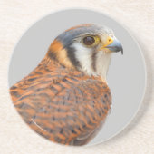 Verbijsterend Amerikaans rugzak Zandsteen Onderzetter (Voorkant)