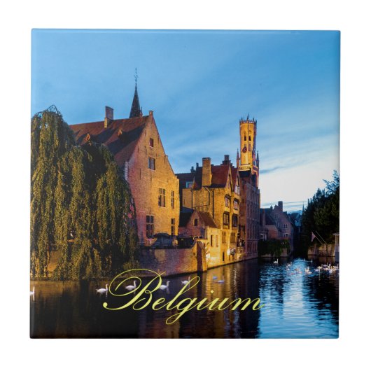 Verbijsterend! Medieval Brugge Belgium - Pro Foto Tegeltje (Voorkant)