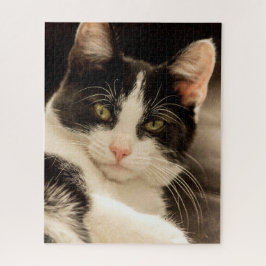 Verbijsterend zwarte en witte kat legpuzzel