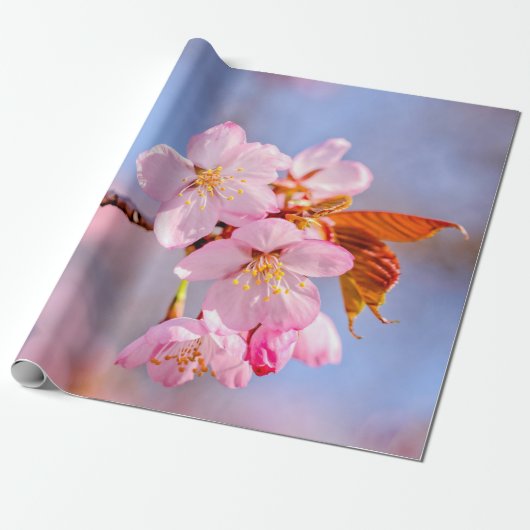 Verbijsterende spanning van de Sakura-bloemen Cadeaupapier (Uitgerold)