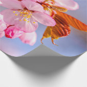 Verbijsterende spanning van de Sakura-bloemen Cadeaupapier (Hoek)