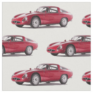 verbinding Alfa Romeo TZ2 Stof