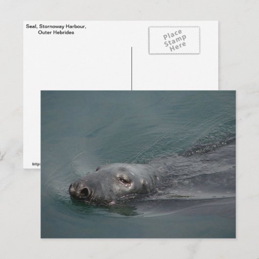 Verbinding, Stornoway Haven, BuitenHebrides Briefkaart (Voorkant / Achterkant)