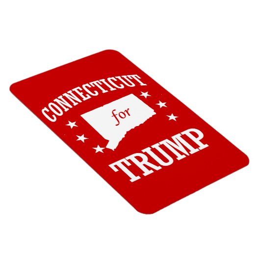 VERBINDING VOOR TRUMP MAGNEET (Rechterzijde)