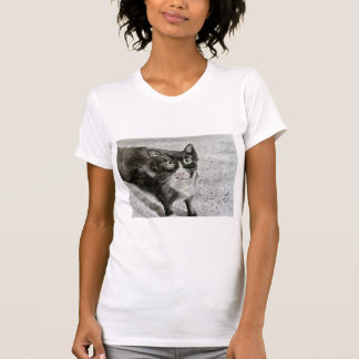 Verbindt het kitten shirt