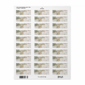 Verbleekte witte roos foto achtergrond elegante tr etiket (Full Sheet)