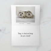 Verblijf in Bed Kaart (Binnen)