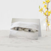 Verblijf in Bed Kaart (Gele Bloem)