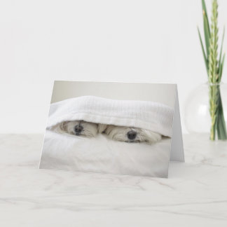 Verblijf in Bed Kaart