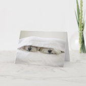 Verblijf in Bed Kaart (Voorkant)