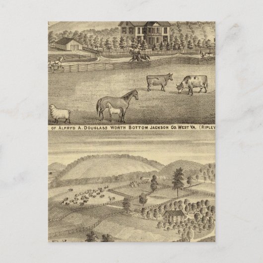 Verblijf van Alfred A Douglass Briefkaart (Voorkant)