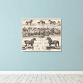 Verblijf van James Potter, Junction City, Kansas Canvas Afdruk (Insitu (Houten vloer))