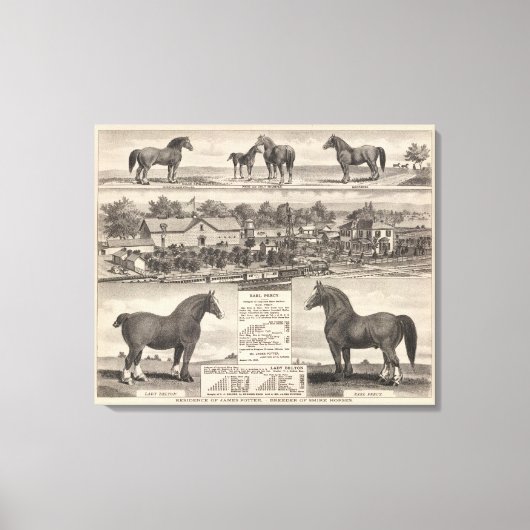 Verblijf van James Potter, Junction City, Kansas Canvas Afdruk (Voorkant)