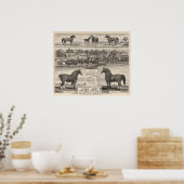 Verblijf van James Potter, Junction City, Kansas Poster (Keuken)